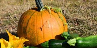 Southern Utah Weekend Events Guide: Oct. 27–30 southern utah weekend events