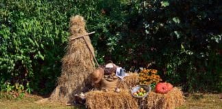 Harvest Festival and Turkey Trot Race Festivities benefit Switchpoint Community Resource Center Harvest Festival and Turkey Trot Race Festivities benefit Switchpoint Community Resource Center