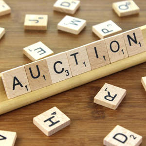 southern utah weekend events guide silent-auction