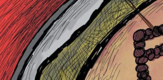 CARTOON: “Paranoid Pizza” CARTOON: "Paranoid Pizza"