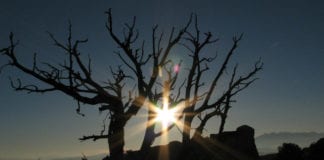 Southern Utah Weekend Events Guide: Dec. 15-18