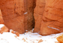 Bryce Canyon National Park offers free admission on Martin Luther King, Jr. Day Bryce Canyon National Park offers free admission on Martin Luther King, Jr. Day
