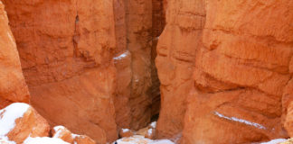 Bryce Canyon National Park offers free admission on Martin Luther King, Jr. Day
