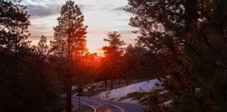 Southern Utah Weekend Events Guide: Jan 19–22 southern utah weekend events