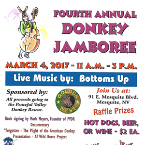 southern utah weekend event guide donkey jamboree