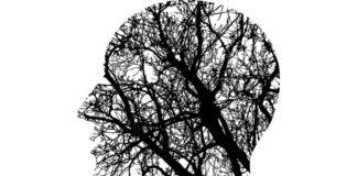 Memory Matters Utah/Nevada provides early-stage memory loss intervention Memory Matters Utah/Nevada provides early-stage memory loss intervention