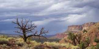 Southern Utah Weekend Events Guide: Feb. 16–19