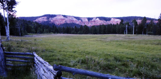 North Fork Ranch conservation easement protects Virgin River, forests