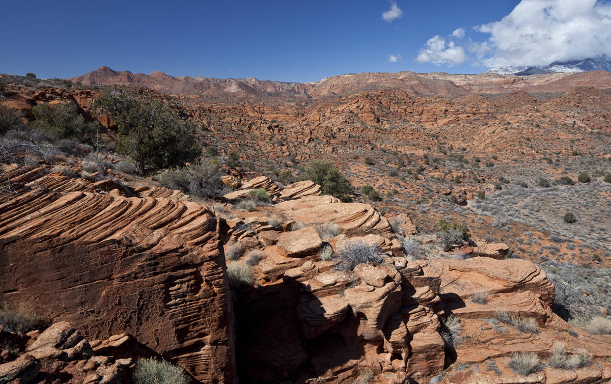 Conserve Southwest Utah, the Conservation Lands Foundation, and The Wilderness Society defend Red Cliffs and Beaver Dam Wash National Conservation Areas.