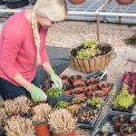 SUU’s Dr. Jacqualine Grant receives award to fund water conservation research SUU’s Dr. Jacqualine Grant receives award to fund water conservation research