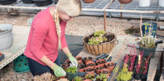 SUU’s Dr. Jacqualine Grant receives award to fund water conservation research SUU’s Dr. Jacqualine Grant receives award to fund water conservation research