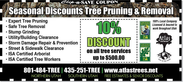Utah tree removal