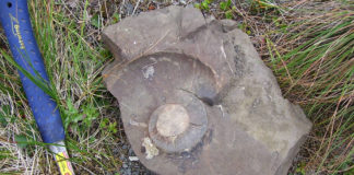 Dr. Tara Smiley discusses Great Basin paleontological diversity at Canyon Community Center Dr. Tara Smiley discusses Great Basin paleontological diversity at Canyon Community Center
