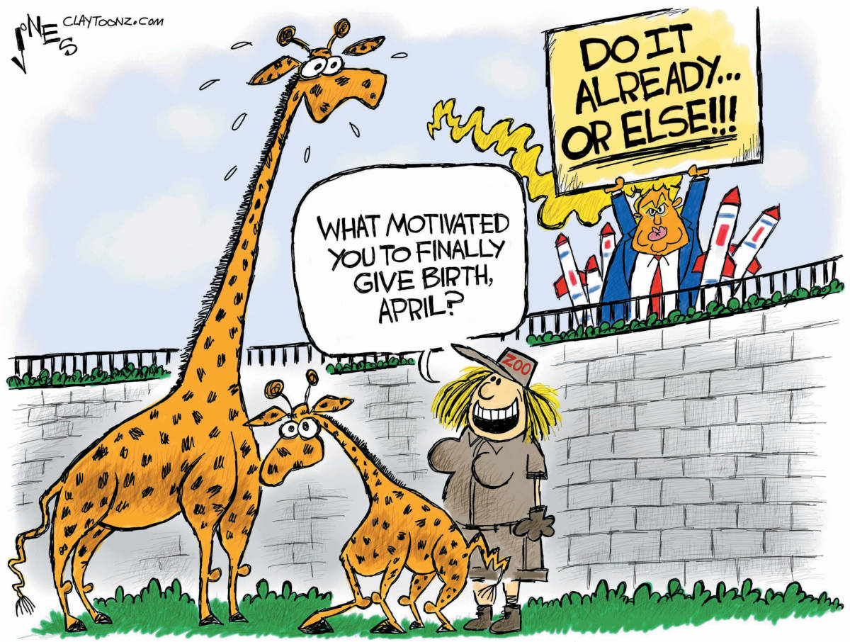 CARTOON: "Fun With Giraffes"