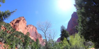 A day in Kolob Canyons: Photo Gallery