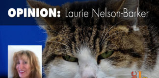 Never trust a cat Never trust a cat