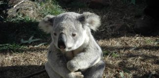 Your Weekly Horoscope