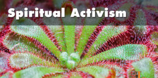 Exploring our connection to the Earth