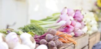 St. George Downtown Farmers Market at Ancestor Square begins 2017 season St. George Downtown Farmers Market at Ancestor Square begins 2017 season