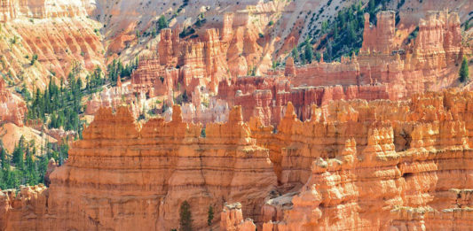 Bryce Canyon Shuttle transitions to summer schedule