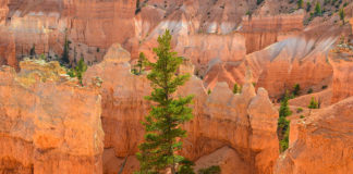 Consider less explored destinations in southwest Utah over Memorial Day weekend Consider less explored destinations in southwest Utah over Memorial Day weekend