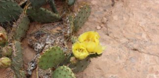 Kanab offers a host of outdoor events in June Kanab offers a host of outdoor events in June