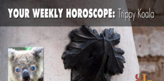 Your Weekly Horoscope Your Weekly Horoscope by Trippy Koala