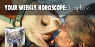 Your Weekly Horoscope