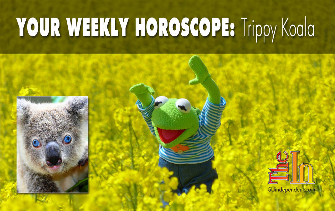 Your Weekly Horoscope Trippy Koala Tryptophan the All-Knowing Koala