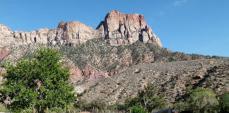 Zion National History Association rebrands as Zion Natl Park Forever Project
