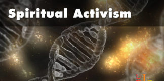 The diversity within our DNA The diversity within our DNA