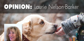 Adopt, don’t shop — lives depend on it Adopt don’t shop puppy mills