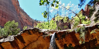 Middle Emerald Pools Trail at Zion National Park projected to reopen late 2019 Middle Emerald Pools Trail at Zion National Park reopens in late 2009