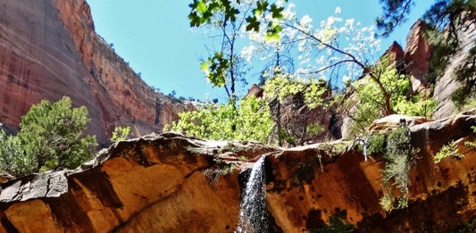Middle Emerald Pools Trail at Zion National Park reopens in late 2009