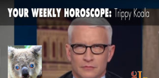 Your Weekly Horoscope Your Weekly Horoscope Trippy Koala