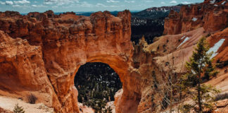 Utah Department of Natural Resources names Mike Fowlks Division of Wildlife Resources director Utah Department of Natural Resources names Mike Fowlks Division of Wildlife Resources director