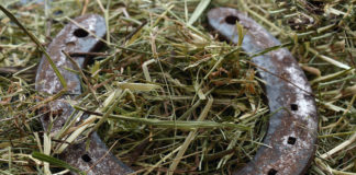 St. George hosts World Horseshoe Pitching Championships St. George hosts World Horseshoe Pitching Championships