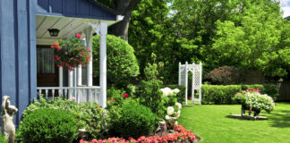 How to keep landscapes looking lovely in the heat How to keep landscapes looking lovely in the heat