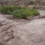 Flash Flood Watch issued for southern Utah Flash Flood Watch issued for southern Utah