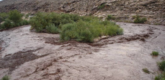 Flash Flood Watch issued for southern Utah