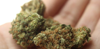 Utah Patients Coalition collects signatures for 2018 medical marijuana initiative Utah Patients Coalition collects signatures for 2018 medical marijuana initiative