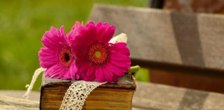 Animosity, fluttering hearts collide in “She Loves Me” at Brigham’s Playhouse Intense animosity, fluttering hearts collide in “She Loves Me” at Brigham’s Playhouse