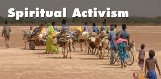 Immigration is not the problem Immigration is not the problem