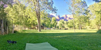 Publisher’s Perspective: The fruits of daily meditation Publisher’s Perspective: The fruits of daily meditation