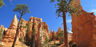 Outstanding Community Initiative Award given to Ruby’s Inn Outstanding Community Initiative Award given to Ruby's Inn