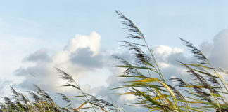 Wind advisory issued for southern Utah Wind advisory issued for southern Utah