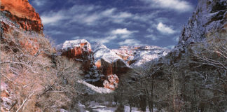 Because Animals Matter hosts Get Bark To Nature Zion Retreat Because Animals Matter hosts Get Bark To Nature Zion Retreat