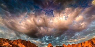 Arrowhead Gallery features photographer Shirley Smith in January Arrowhead Gallery features photographer Shirley Smith in January