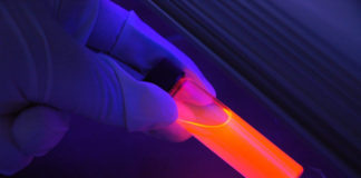 SUU biology program receives $113,000 grant SUU biology program receives $113,000 grant