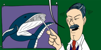 Cartoon: “Whale Ownership” Cartoon: "Whale Ownership"